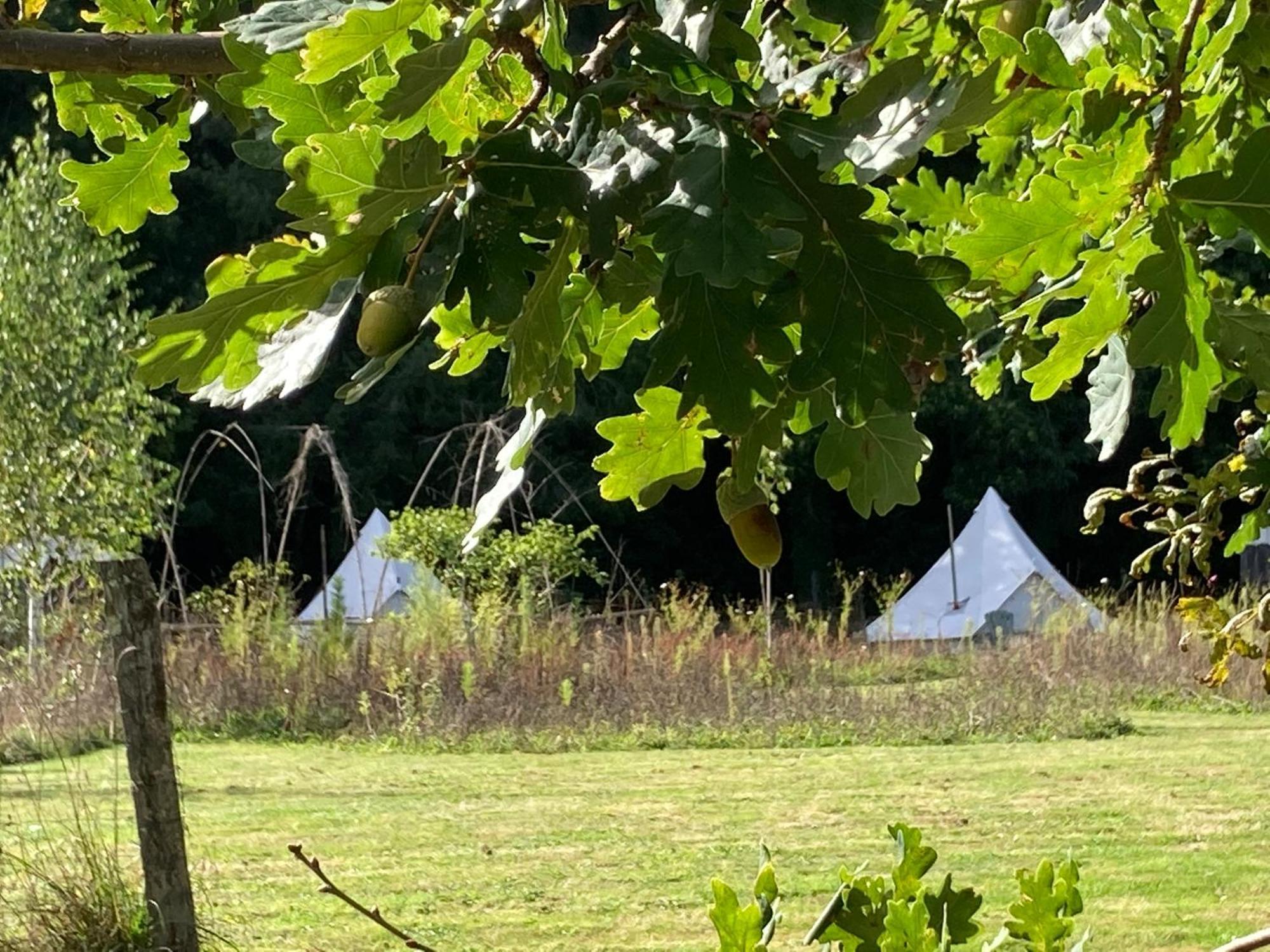 Hotel Au Pre Fleuri Eco Glamping Le Lindois Exterior foto